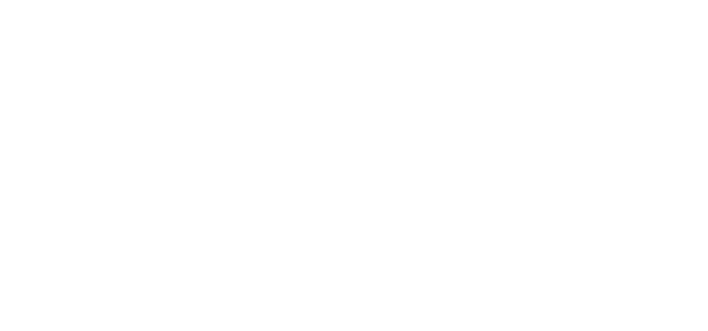 logo vliebries